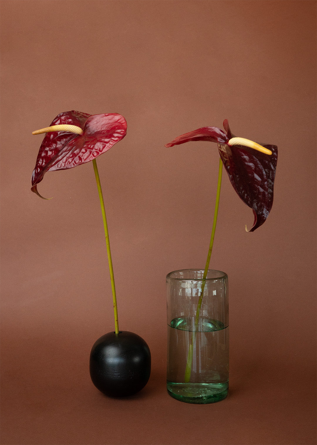 FLORERO OLIVA