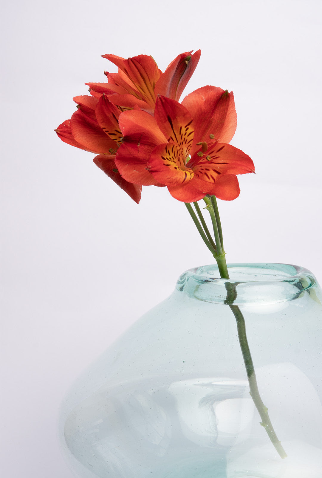Florero Agua