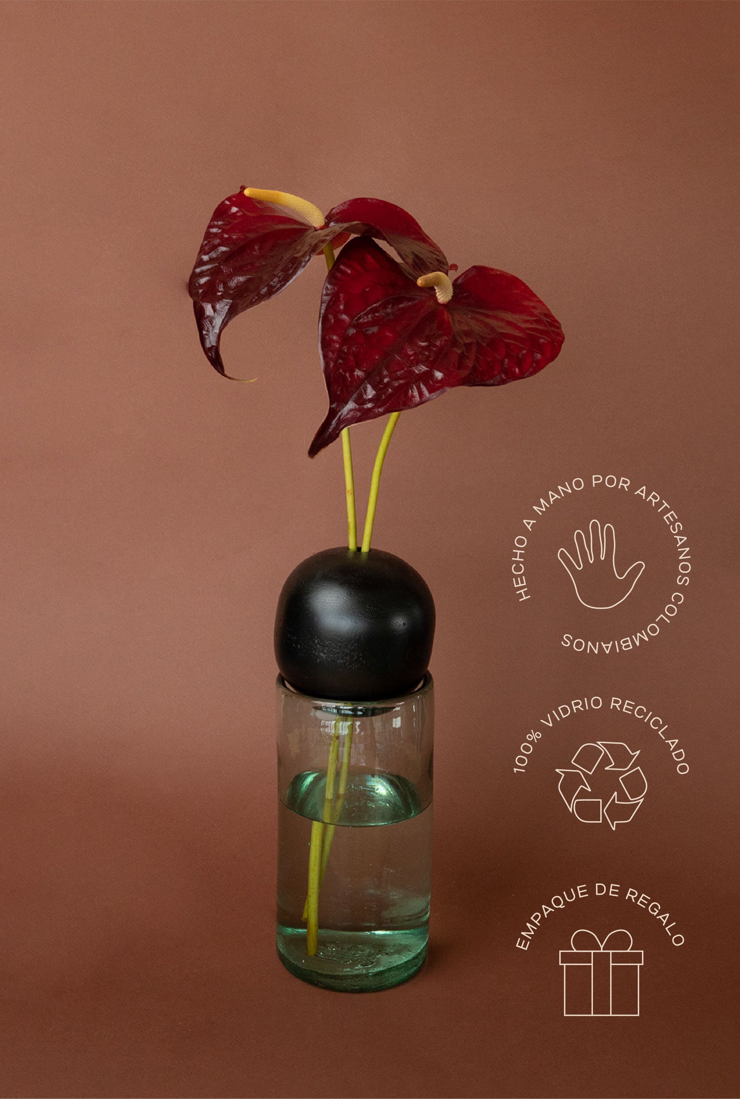 FLORERO OLIVA