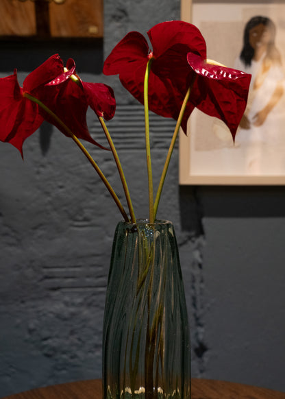 FLORERO ORIGEN