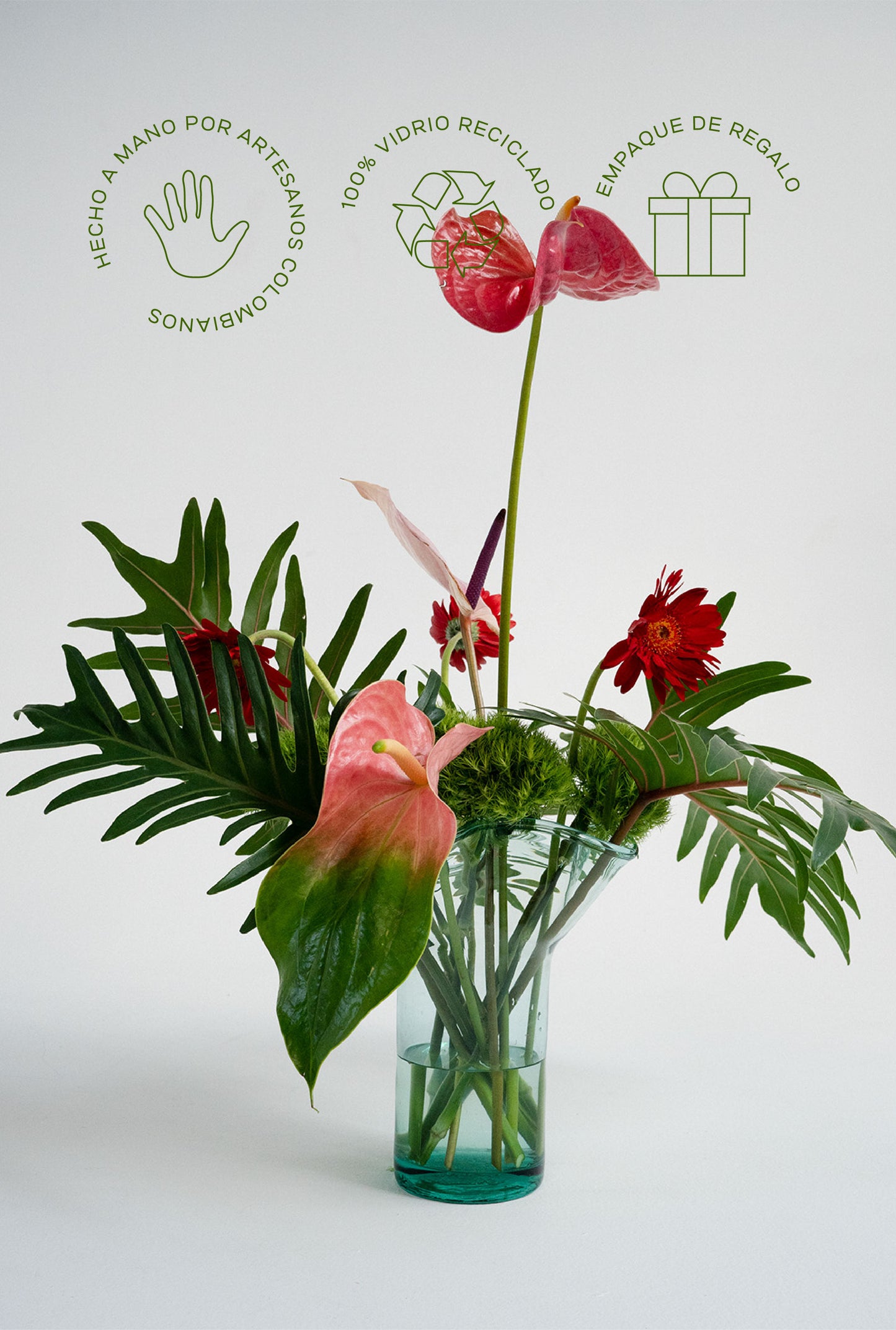 FLORERO DONAIRE